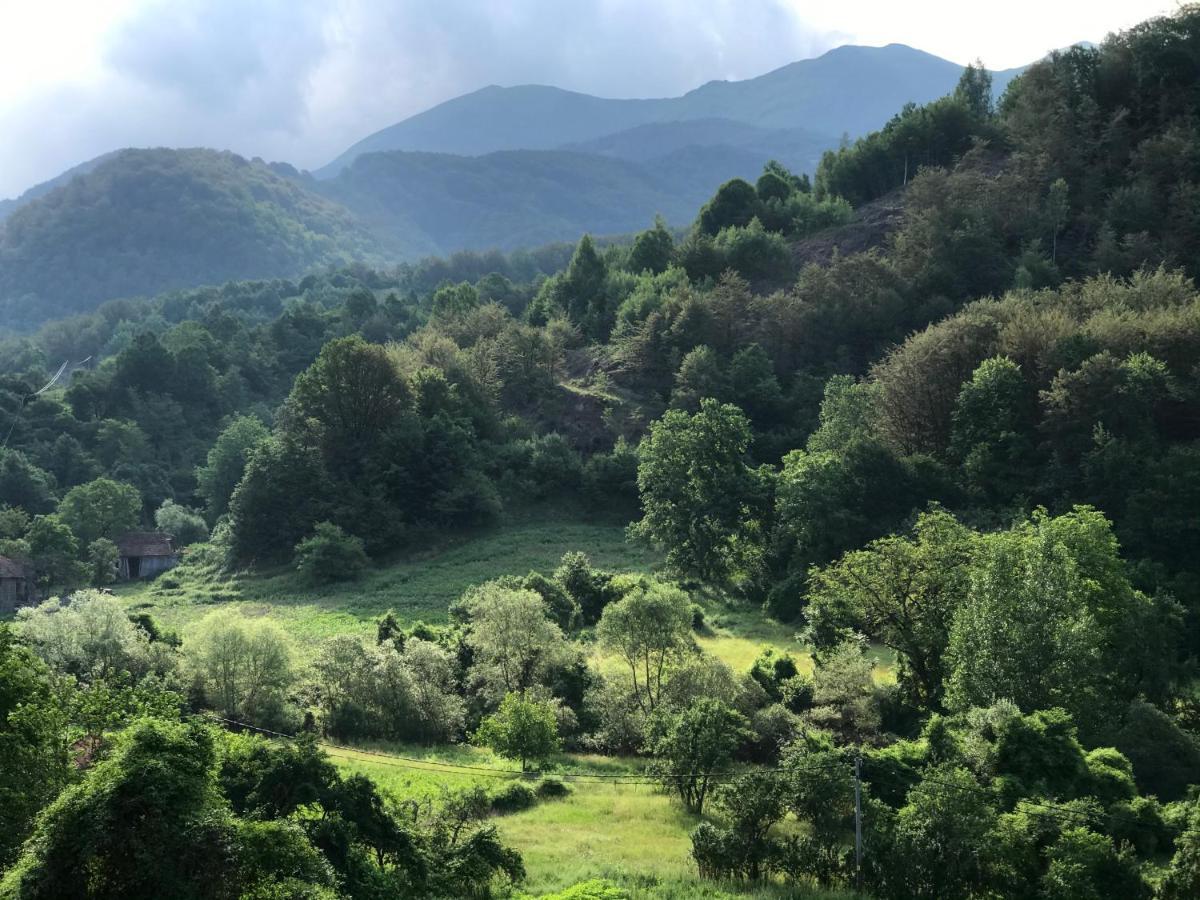Aphrodite Hills Apartments-Stara Planina Crni Vrh Εξωτερικό φωτογραφία