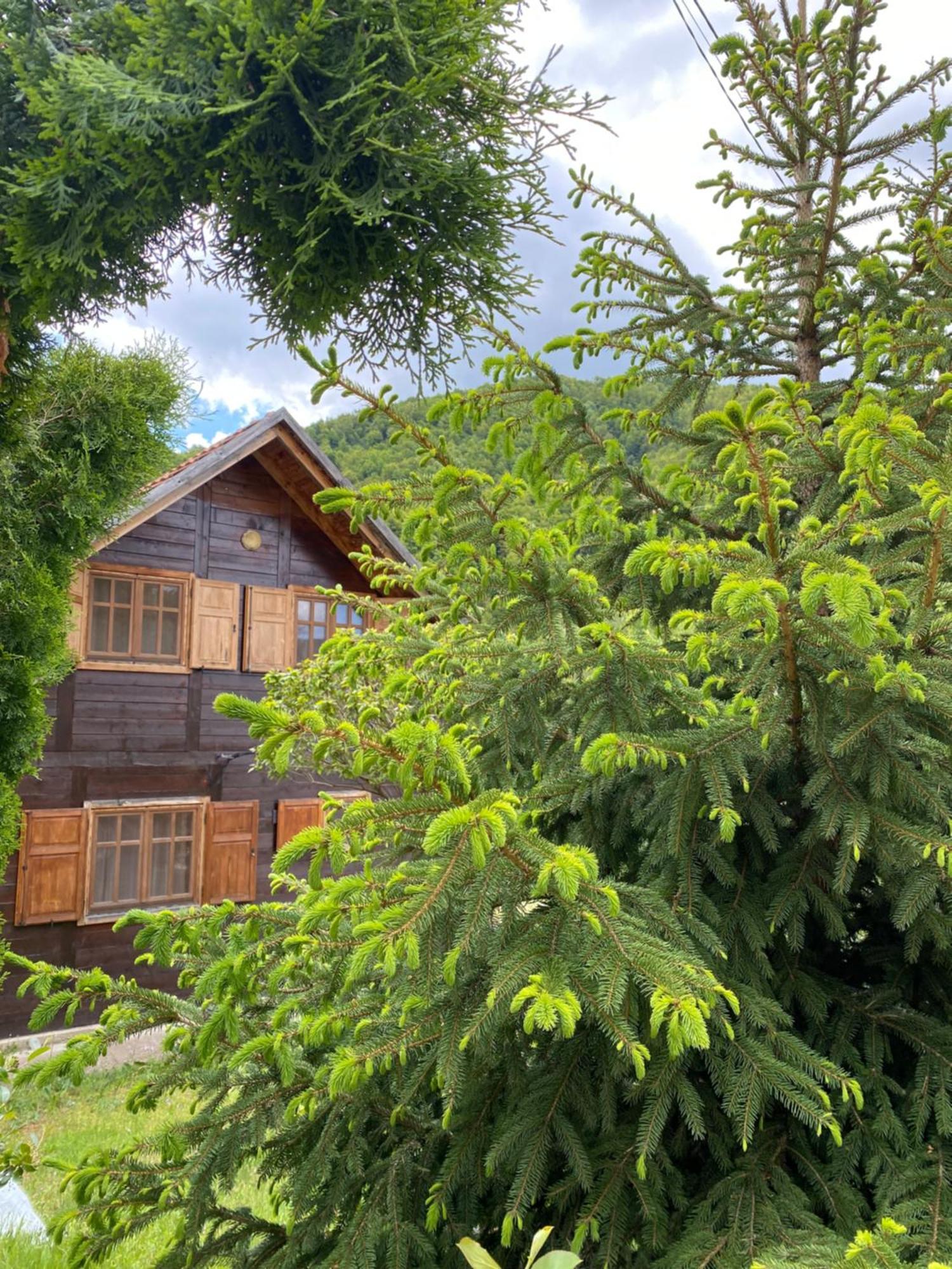 Aphrodite Hills Apartments-Stara Planina Crni Vrh Εξωτερικό φωτογραφία